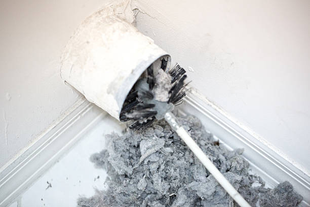 Best Air Duct Mold Removal  in St Louis, MO